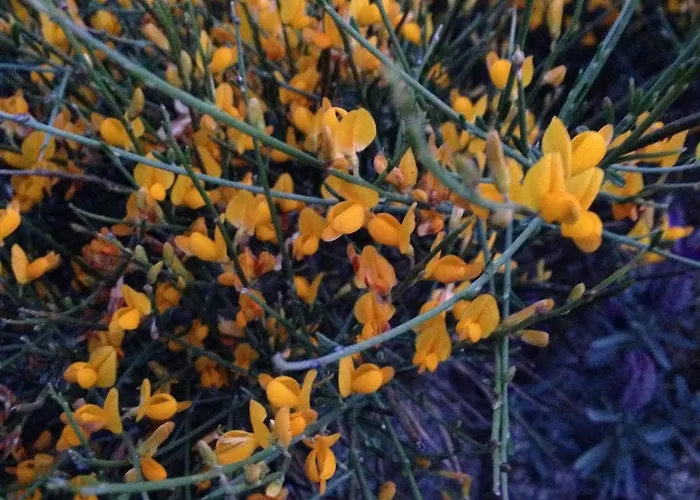Turchese Santa Teresa Gallura